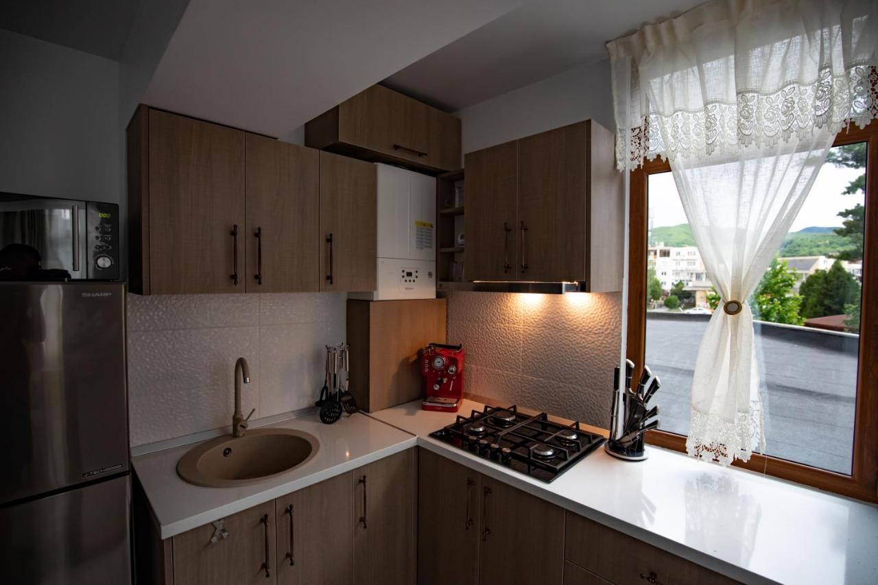 Apartament Natalia Tîrgu Ocna Dış mekan fotoğraf